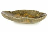 Polished Fossil Coral (Actinocyathus) Dish - Morocco #294073-1